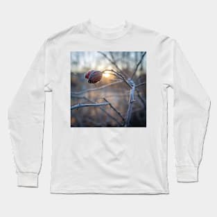 frosty rosehip on a branch Long Sleeve T-Shirt